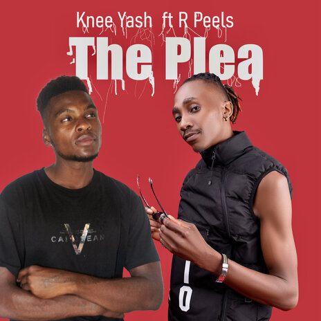 The Plea ft. R.PEELS | Boomplay Music