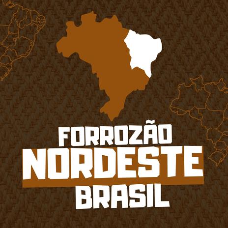 Forrozão Nordeste Brasil | Boomplay Music