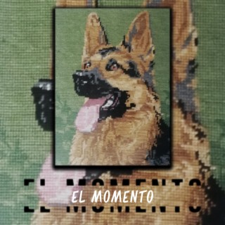 El Momento (Acustic Special Version) lyrics | Boomplay Music