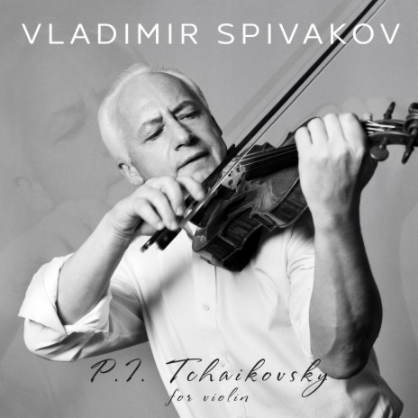 Violin Concerto in D Major, Op. 35: II. Canzonetta: Andante