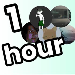 1 Hour