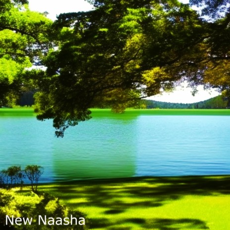 New Naasha | Boomplay Music