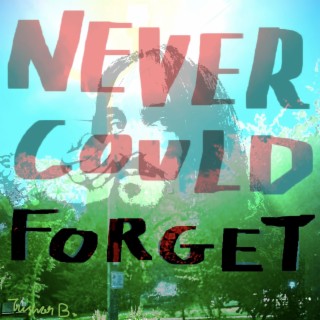 Never Could Forget lyrics | Boomplay Music