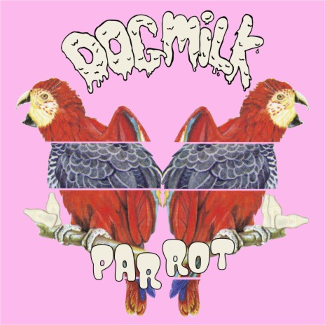 Parrot | Boomplay Music