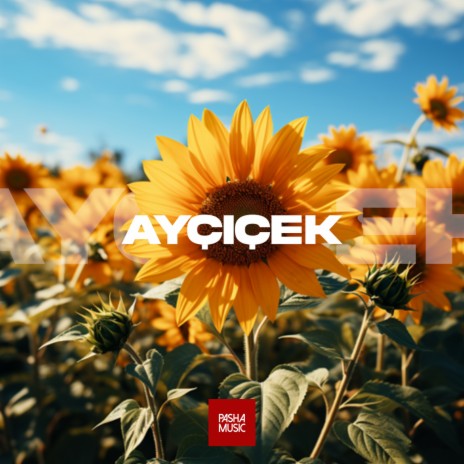 Ayçiçek | Boomplay Music