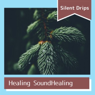 Healing SoundHealing