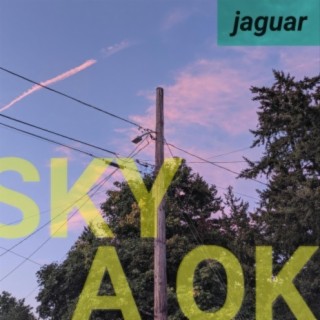 SKY/A OK