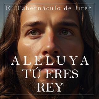 Aleluya, Tú eres Rey lyrics | Boomplay Music