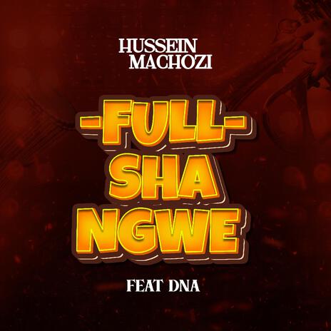 Full Shangwe ft. DNA | Boomplay Music