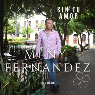 Sin Tu Amor (Version Norteño) lyrics | Boomplay Music