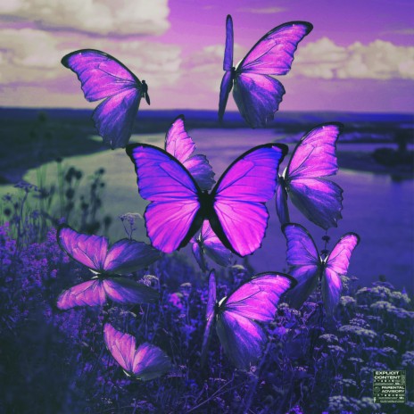 Butterflies ft. Luh Sant | Boomplay Music