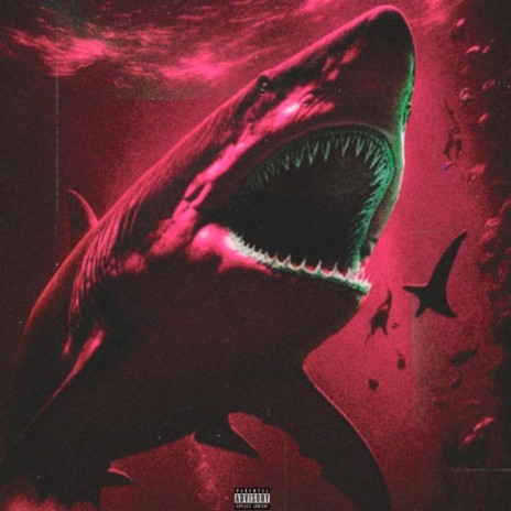 Big Shark | Boomplay Music