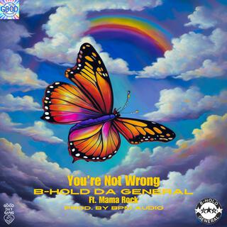 You're Not Wrong lyrics | Boomplay Music