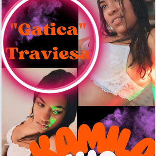 Gatica Traviesa