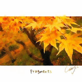 Fragments