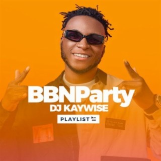 BBNaija S5 - Party: DJ Kaywise