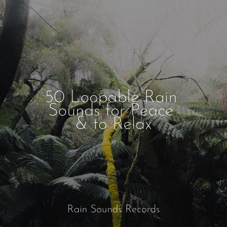 Shower of Melodies ft. Rain Sounds & White Noise & Sleep Sound Library | Boomplay Music