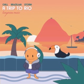 Chill Brazilian Storm: A Trip to Rio