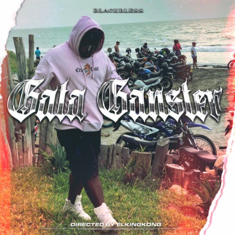 Gata Gangster | Boomplay Music