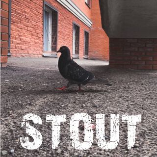 Stout 1