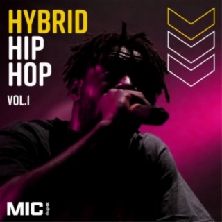 Hip Hop Hybrids Vol. 1