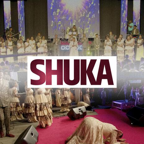 SHUKA (Live) ft. Shachah Team | Boomplay Music