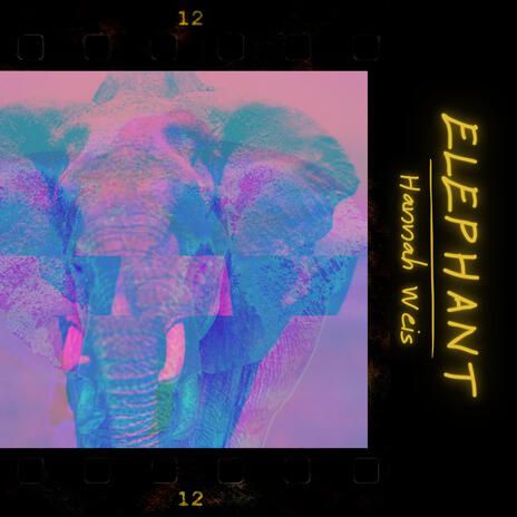 Elephant | Boomplay Music