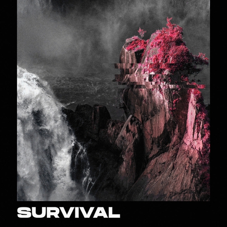 Survival | Boomplay Music