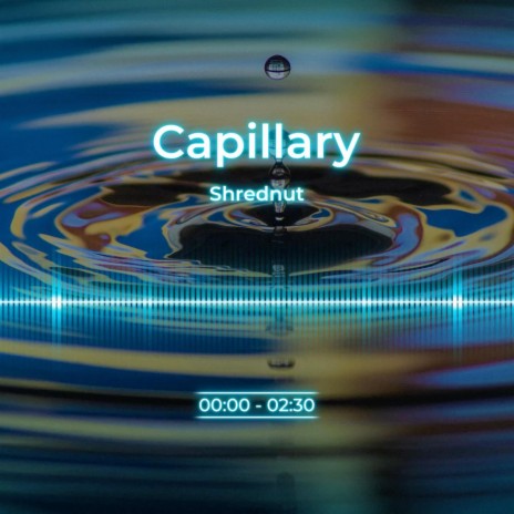 Capillary