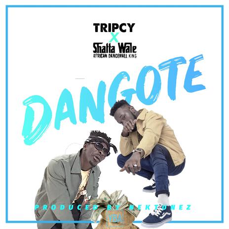 Dangote ft. Shatta Wale | Boomplay Music