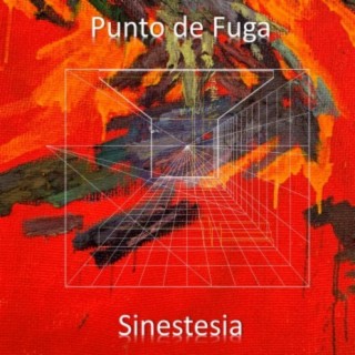 Sinestesia