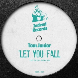 Let You Fall