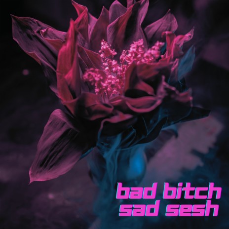 Bad Bitch Sad Sesh ft. DTMP | Boomplay Music