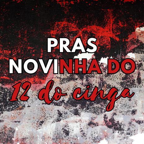 PRAS NOVINHA DO 12 DO CINGA | Boomplay Music