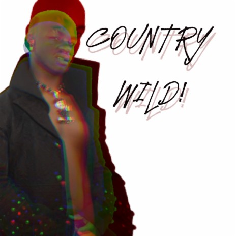 Country Wild | Boomplay Music