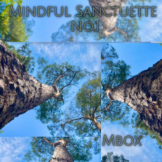 Mindful Sanctuette No.1