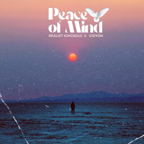 Peace Of Mind ft. GIDYON | Boomplay Music