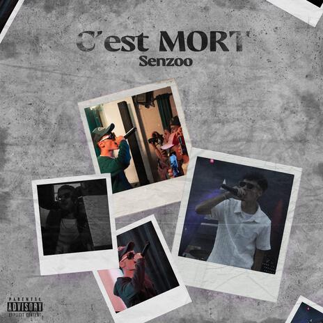 C'EST MORT | Boomplay Music