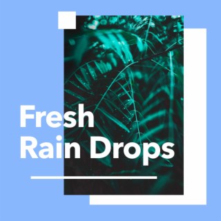 Fresh Rain Drops