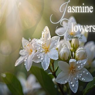 Jasmine Flowers Volume II