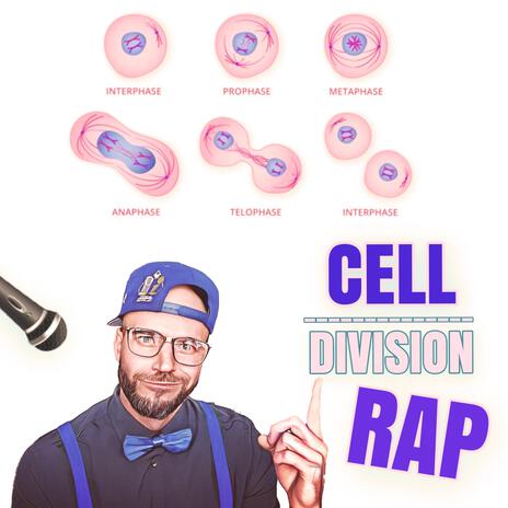 Cell Division Rap | Boomplay Music