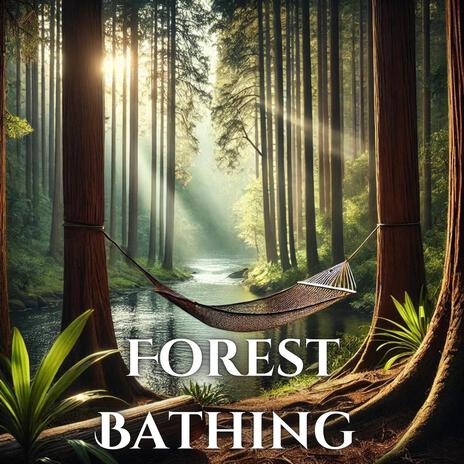 Relaxing Forest Morning | Boomplay Music