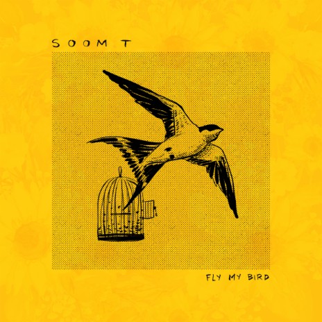 Fly my Bird | Boomplay Music