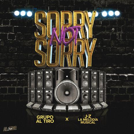 Sorry Not Sorry ft. J-Z La Melodia Musical | Boomplay Music