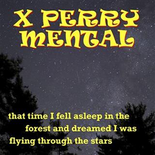 That Time I Fell Asleep in the Forest and Dreamed I Was Flying Through the Stars