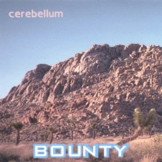 Cerebellum