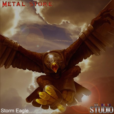 Storm Eagle | Boomplay Music