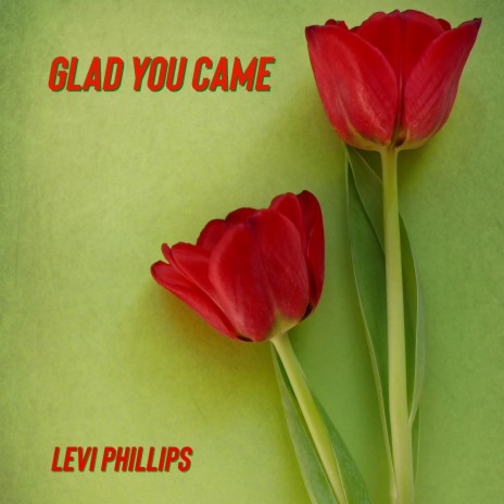 Glad You Came | Boomplay Music