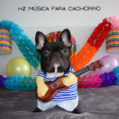 Meditação Canina ft. Hz Música para Cachorro, Música para cães!, Música para animais de estimação & Dog Music! | Boomplay Music