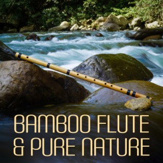 Bamboo Flute & Pure Nature: Chinese Meditation Sounds
